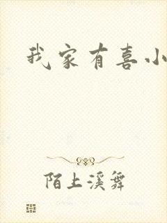 我家有喜小说