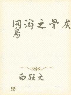 网游之骨灰级菜鸟