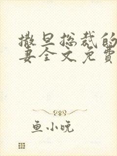 撒旦总裁的下堂妻全文免费阅读