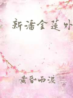 新潘金莲外传