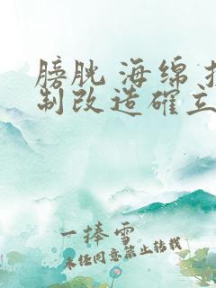 膀胱 海绵 控制改造确立m