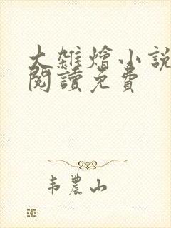 大杂烩小说全集阅读免费