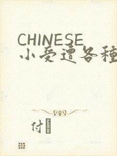 CHINESE小受遭各种打桩