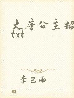 大唐公主招亲记txt