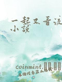 一起又看流星雨小说