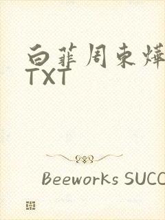 白菲周东烨小说TXT