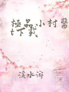 极品小村医txt下载