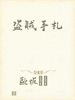 盗贼手札