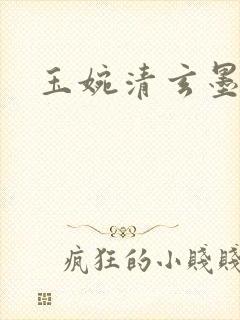 玉婉清玄墨小说