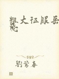 粗大征服岳女双飞