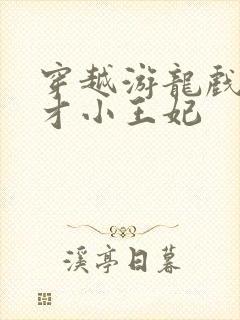 穿越游龙戏凤天才小王妃