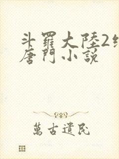 斗罗大陆2绝世唐门小说