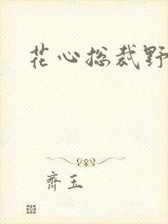 花心总裁野蛮妻