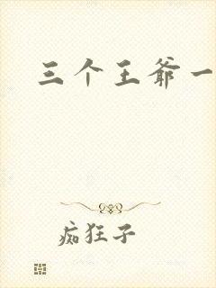 三个王爷一个妃