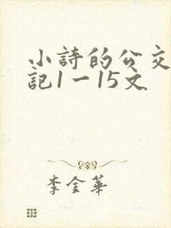 小诗的公交车日记1一15文