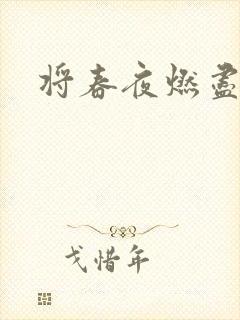 将春夜燃尽