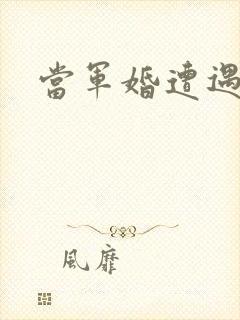 当军婚遭遇爱情