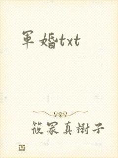 军婚txt
