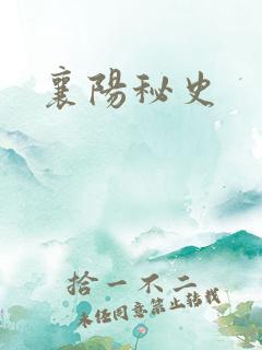 襄阳秘史