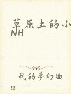 草原上的小公主NH
