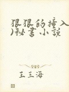 狠狠的撞入(h)秘书小说