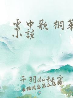 云中歌 桐华 小说