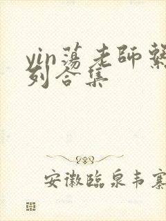 yin荡老师系列合集