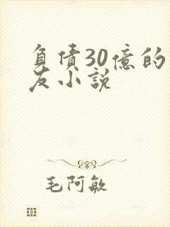 负债30亿的男友小说