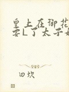 皇上在御花园里要L了太子妃