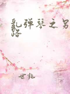 乱弹琴之另一条路