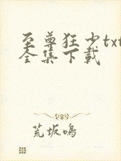 至尊狂少txt全集下载