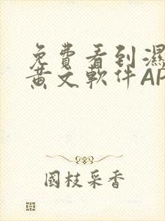 免费看到湿的小黄文软件APP