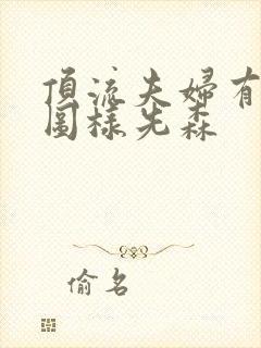 顶流夫妇有点甜图样先森