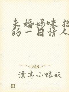 未婚妈咪 总裁的一日情人