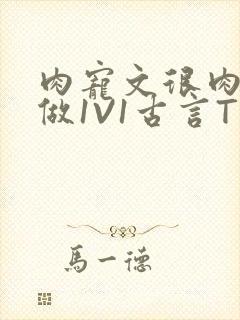 肉宠文很肉到处做1V1古言T