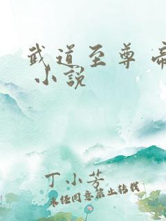 武道至尊 帝临 小说