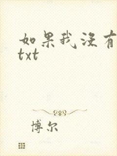 如果我没有爱过txt