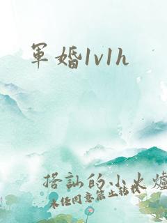 军婚1v1h