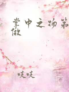 掌中之物第一次做