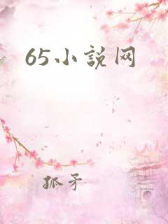 65小说网