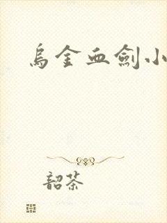 乌金血剑小说
