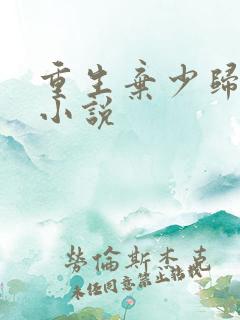 重生弃少归来 小说