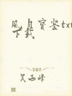 风月宝鉴txt下载