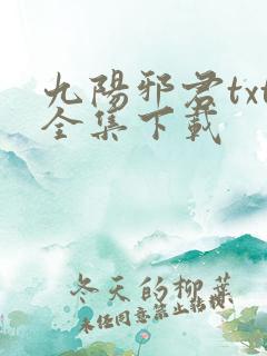 九阳邪君txt全集下载