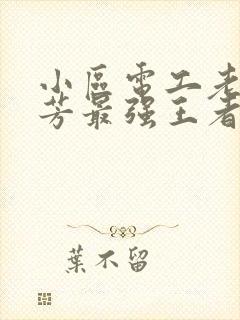 小区电工老周刘芳最强王者