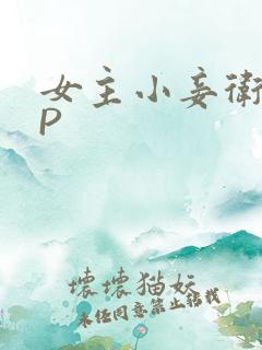 女主小妾卫府NP