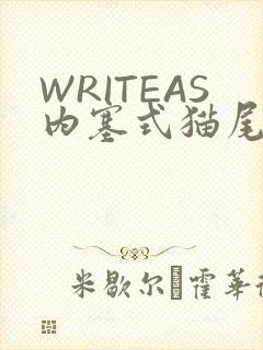 WRITEAS内塞式猫尾