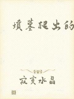 坟墓爬出的士兵