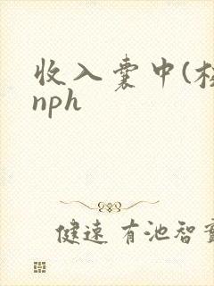收入囊中(校园nph