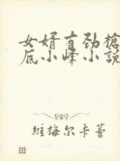 女婿有劲枪枪到底小峰小说